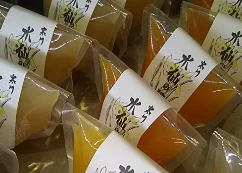 水仙の里